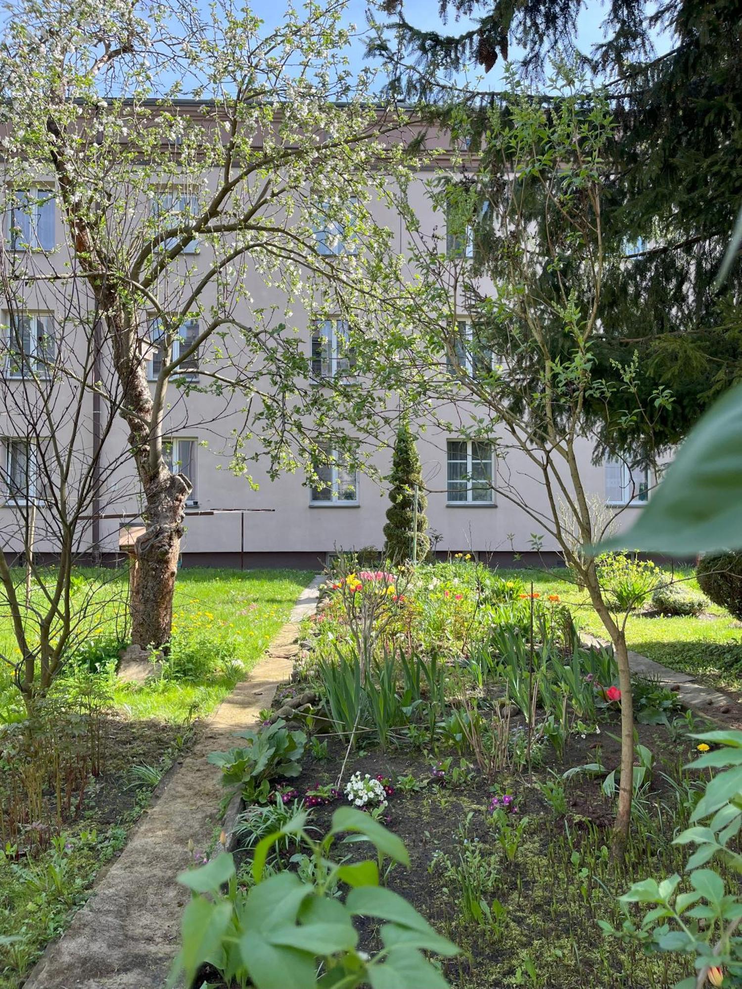 Greenthumb Praska Cracovie Extérieur photo