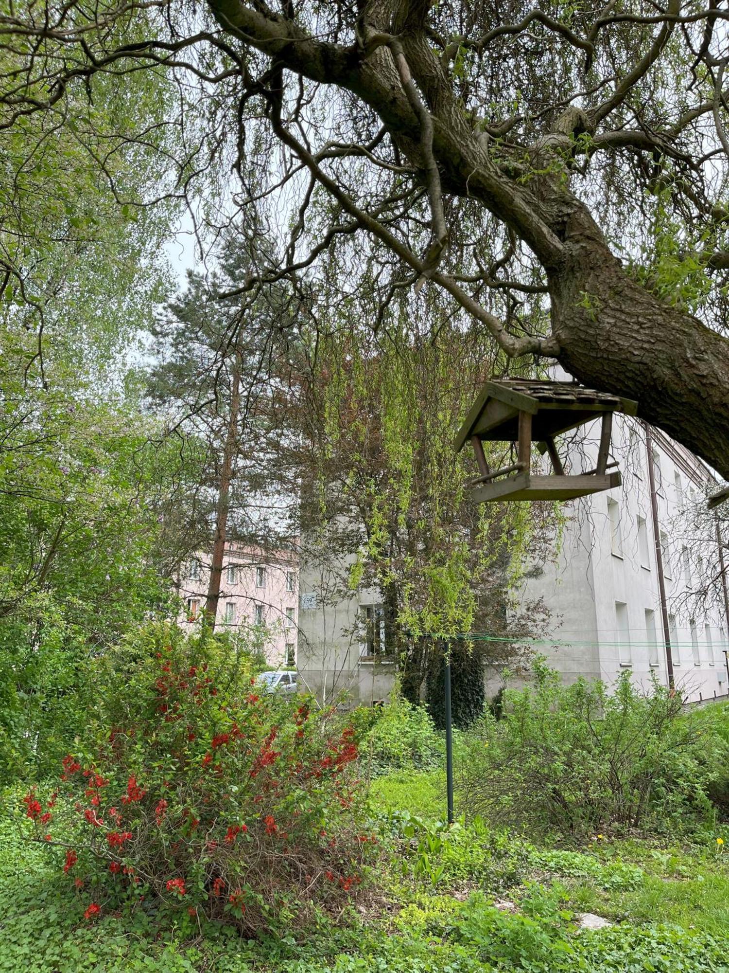 Greenthumb Praska Cracovie Extérieur photo