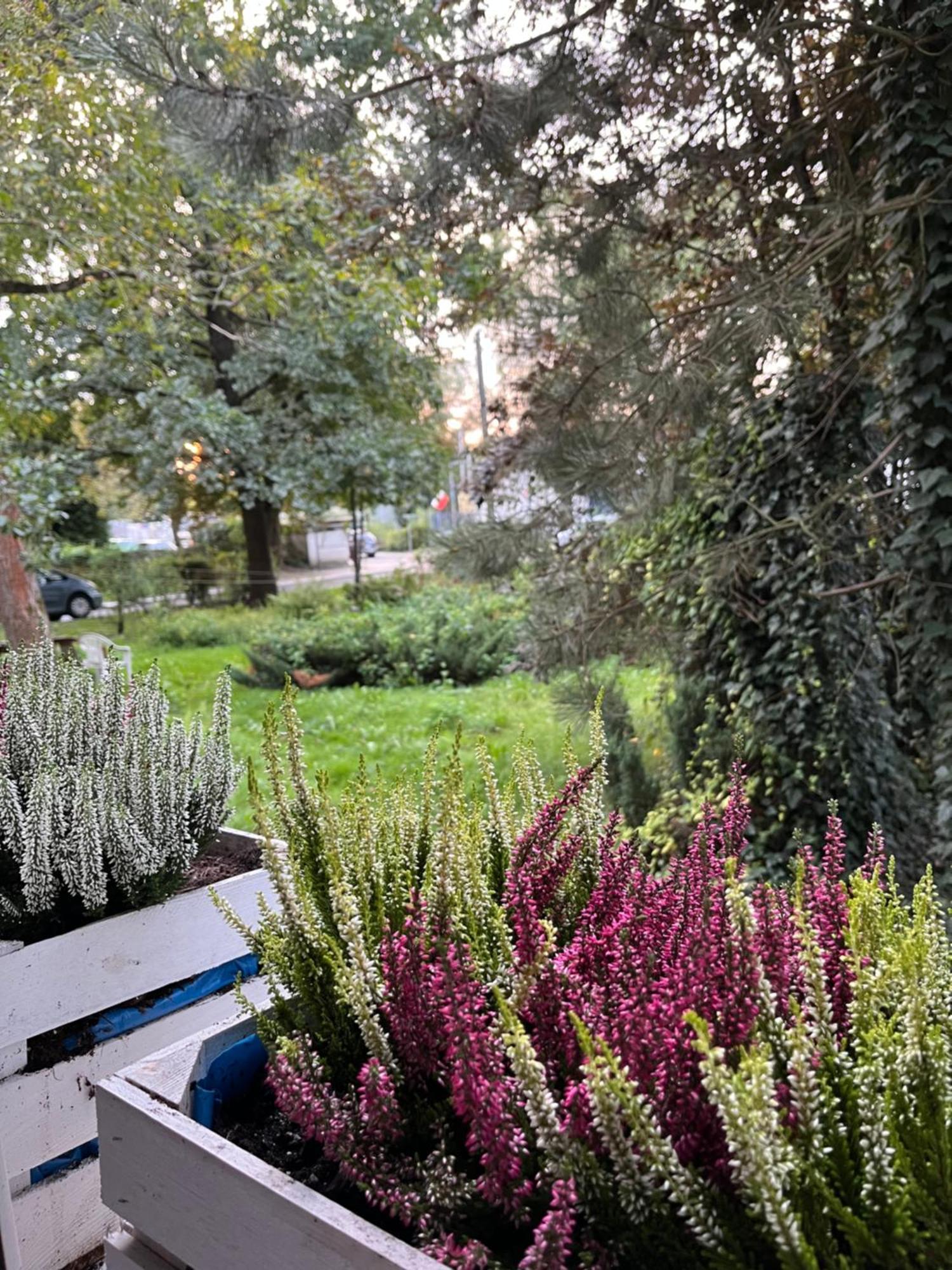 Greenthumb Praska Cracovie Extérieur photo